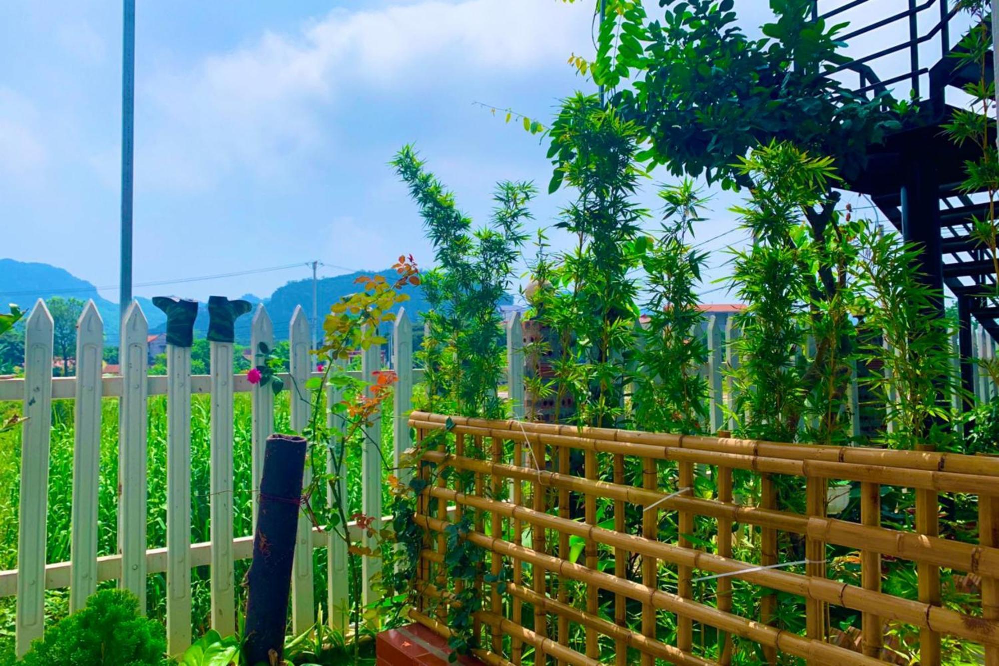 The Pineapple House Bed & Breakfast Ninh Binh Eksteriør bilde